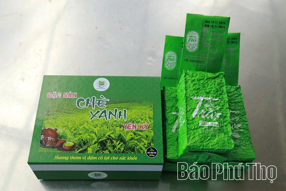 บ้านเกิดของฉันเต็มไปด้วยความรักในชา