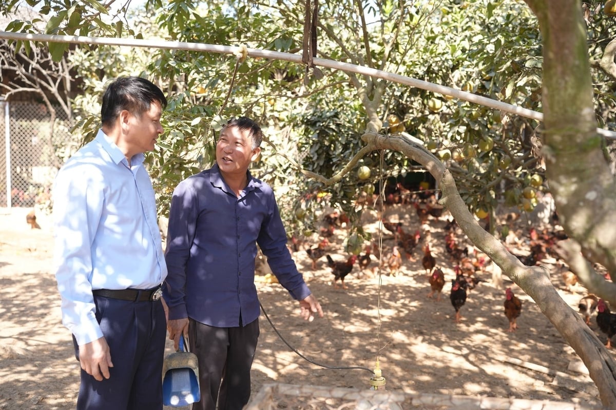 anh Thành mong muốn mở rộng thêm chuồng trại, đầu tư khu nuôi tập trung. Ảnh: Phạm Minh.