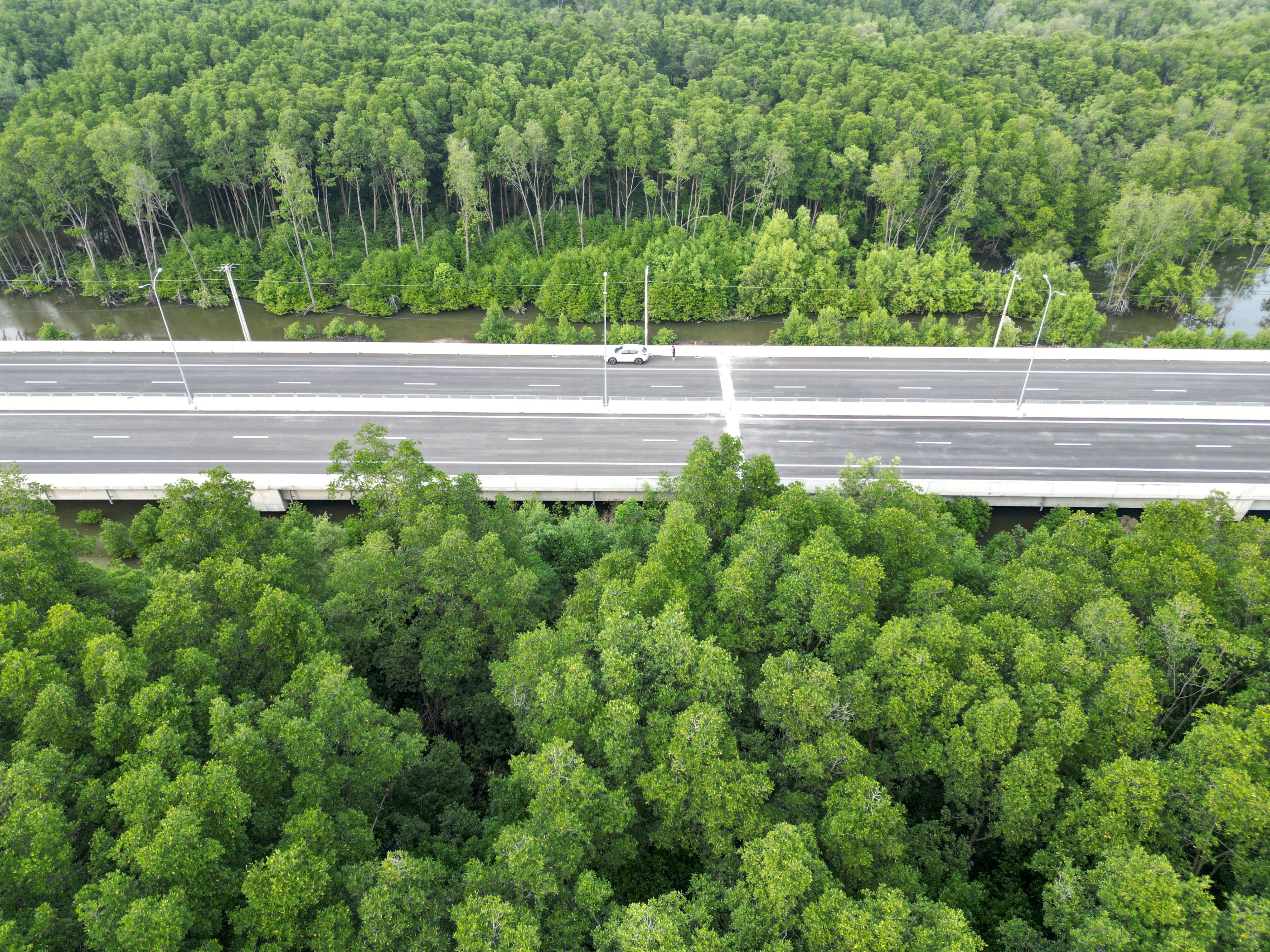 Admira la carretera de manglares más hermosa del país.