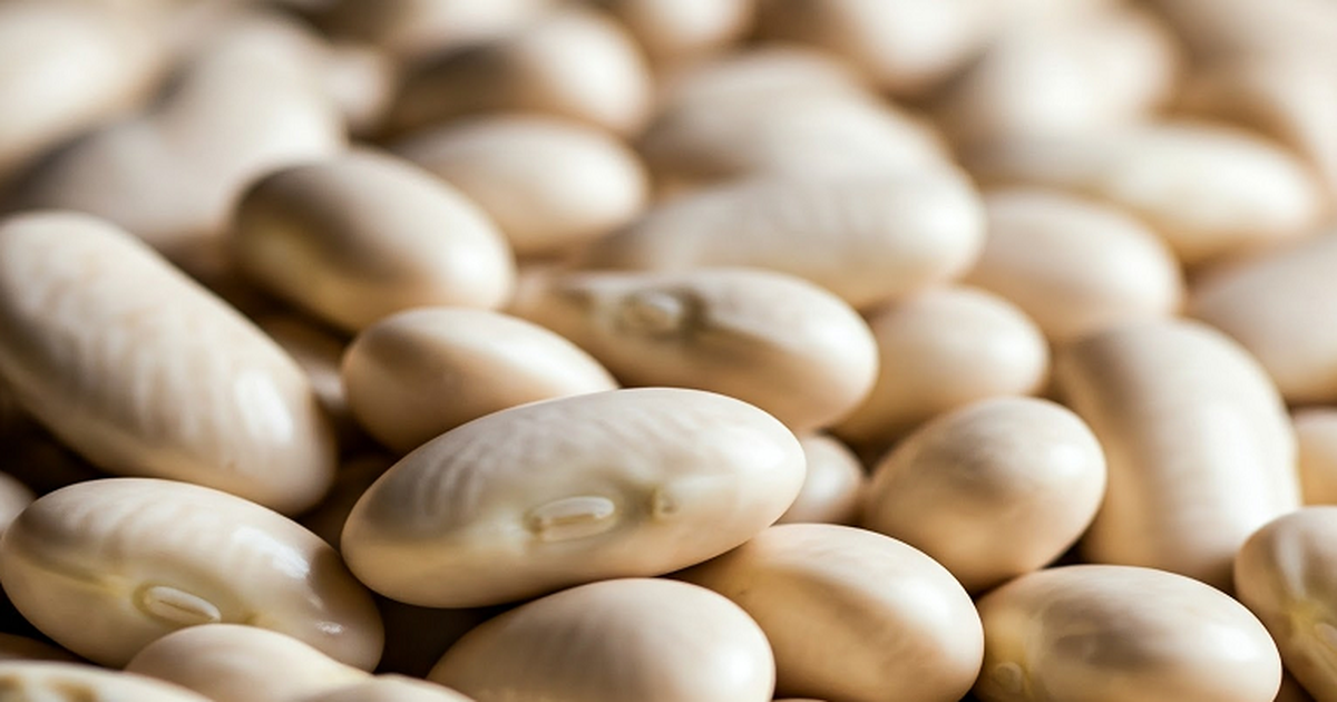 Little-known blood pressure lowering effects of white beans