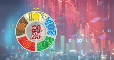 Suggested potential 2025 investment portfolio according to the Five Elements theory