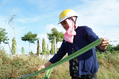 Nghề gói bánh ngày tết