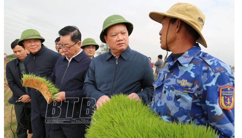 Đồng chí Nguyễn Khắc Thận, Bí thư Tỉnh ủy kiểm tra tình hình sản xuất nông nghiệp tại huyện Đông Hưng