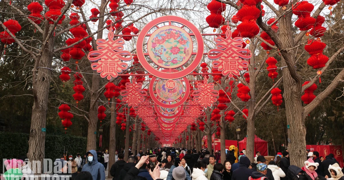 [写真] 北京の住民が蛇年の春節を熱狂的に祝う