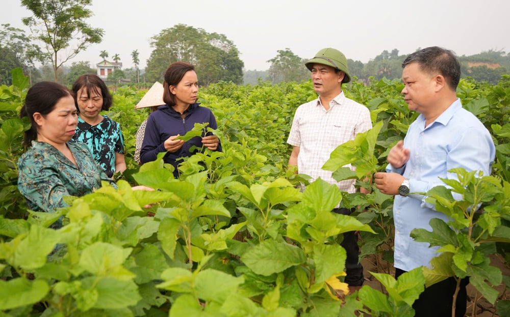 Spring comes to the land of silkworms