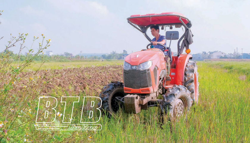 “Chân lấm tay bùn” vẽ mùa xuân