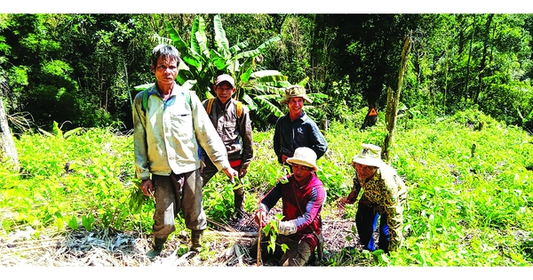 Mantengamos el bosque para nuestros hijos y nietos