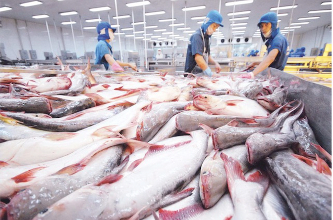 ベトナムと米国は、トラとバサの魚税をめぐる紛争をWTOで解決することで合意した。