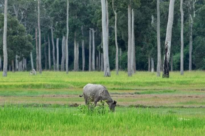 Rủ nhau về Tà Lài 