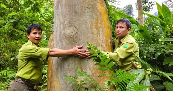 Thanh Hoa has one more National Park