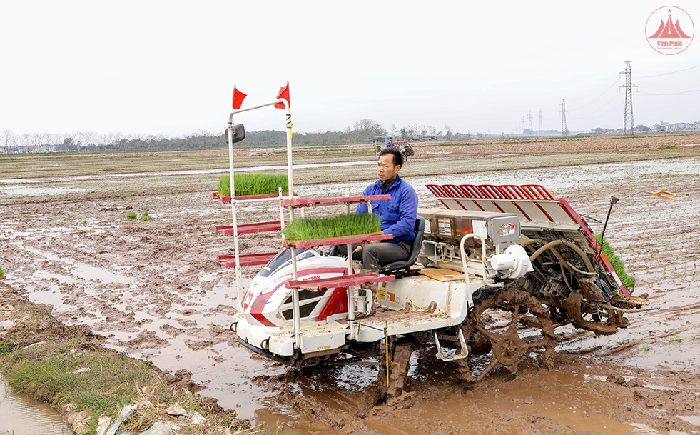 ハイテク農業が生んだ「甘い果実」