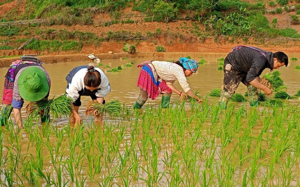 Yen Bai : les hauts plateaux au printemps