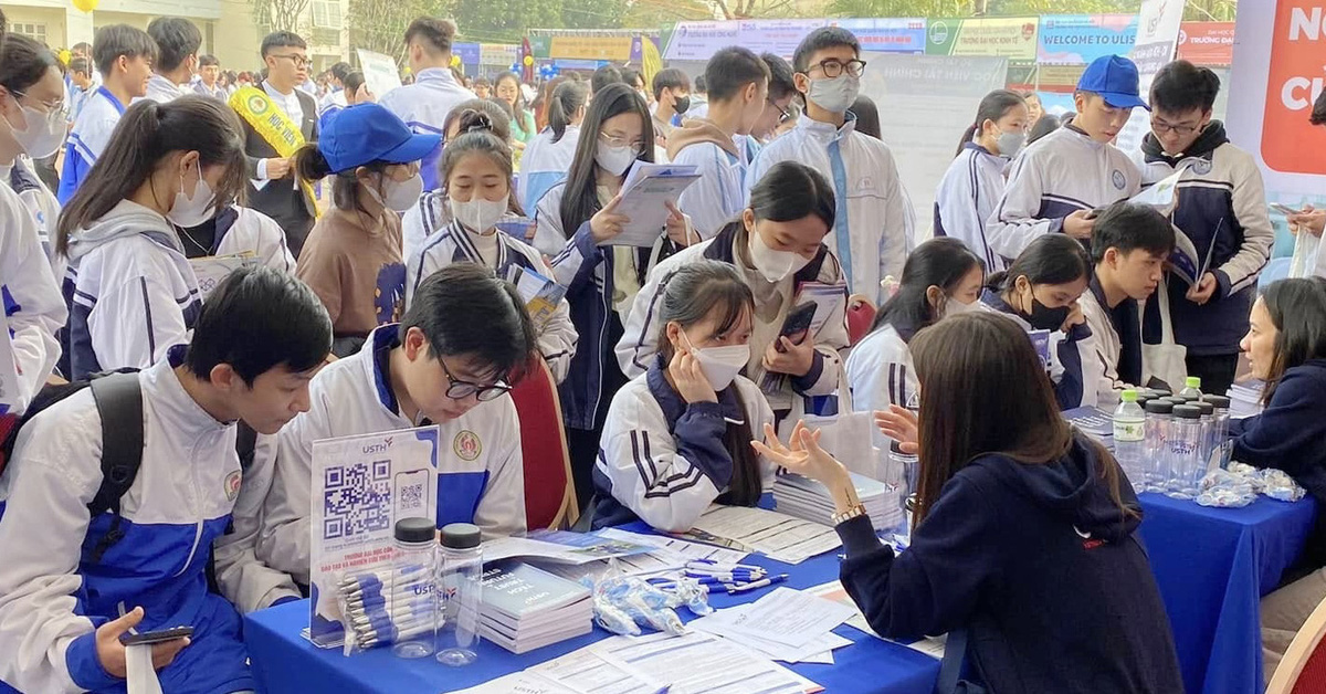 대학, 한 전공 20개 조합으로 '블라인드백' 출시