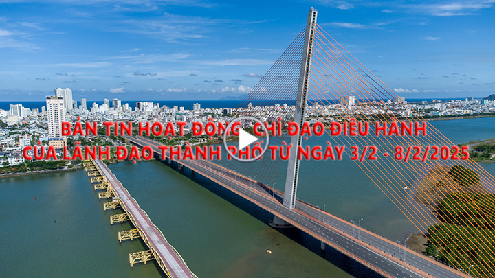 Video - Neuigkeiten zu Aktivitäten und Anweisungen der Stadtführung von Da Nang vom 3. bis 8. Februar 2025