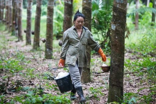 Vietnam posee los 2 productos agrícolas más codiciados del mundo