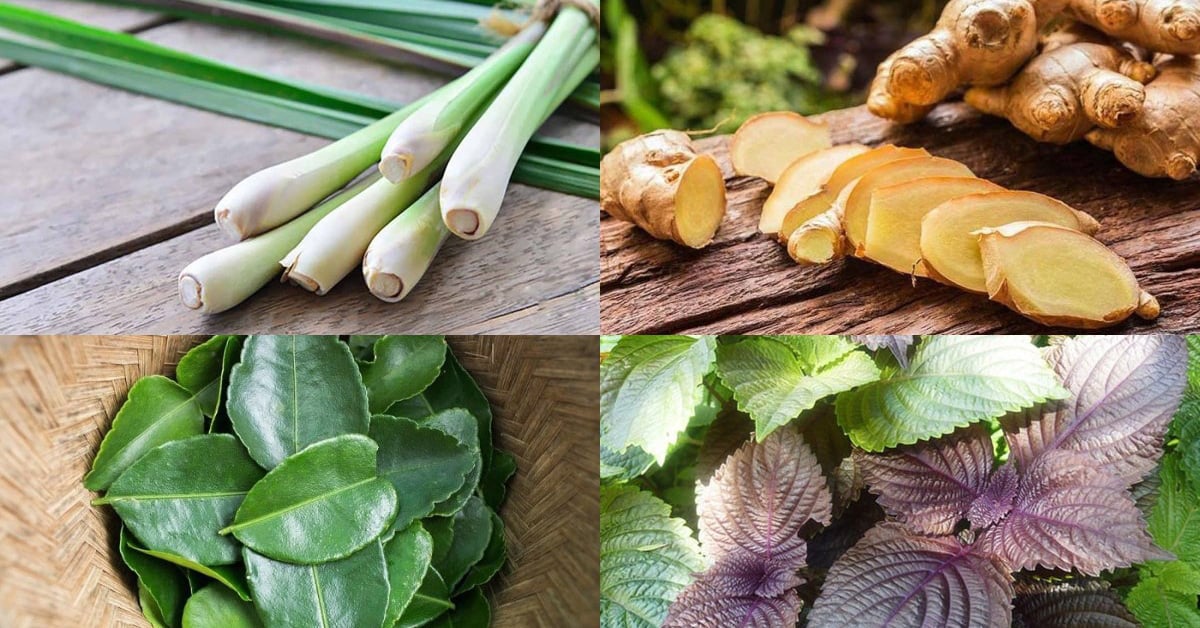 Tips for effective traditional medicine to relieve colds, stuffy nose, sore throat