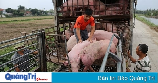 Gehen Sie beim Transport von Tieren und tierischen Produkten unbekannter Herkunft streng vor.