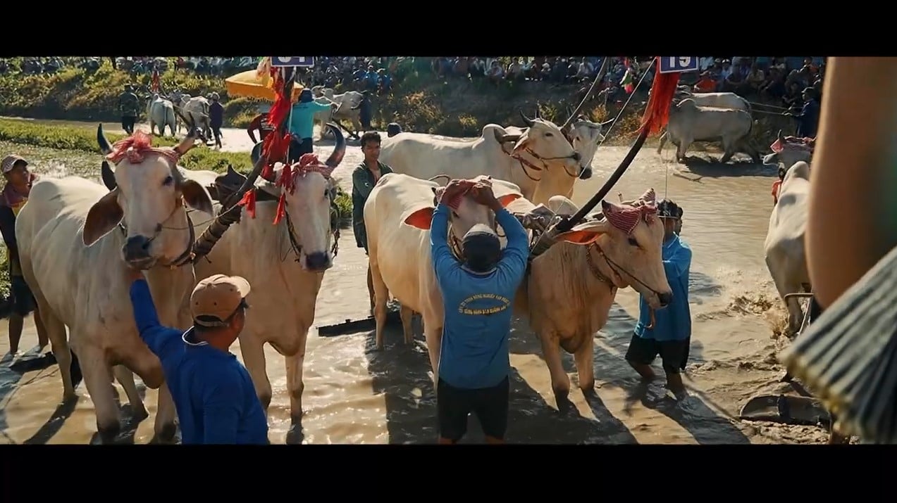 Seven Mountains Bull Racing - la connexion d'une valeur