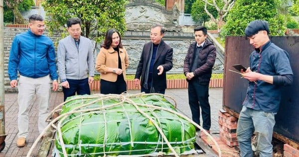 Die Leute von Ha Tinh backen 300 kg schweren Chung-Kuchen, um ihn Hai Thuong Lan Ong Le Huu Trac zu schenken