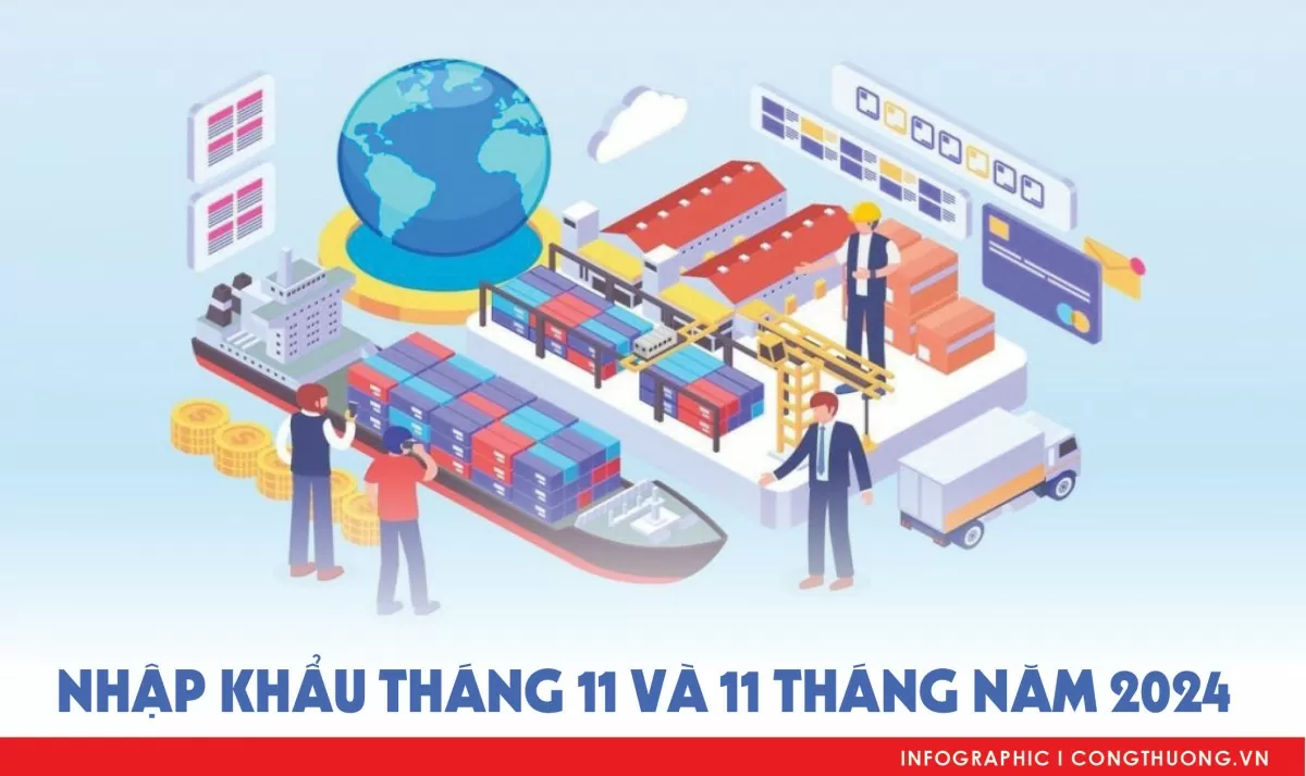 Infographie | Importations de biens en novembre et 11 mois de 2024