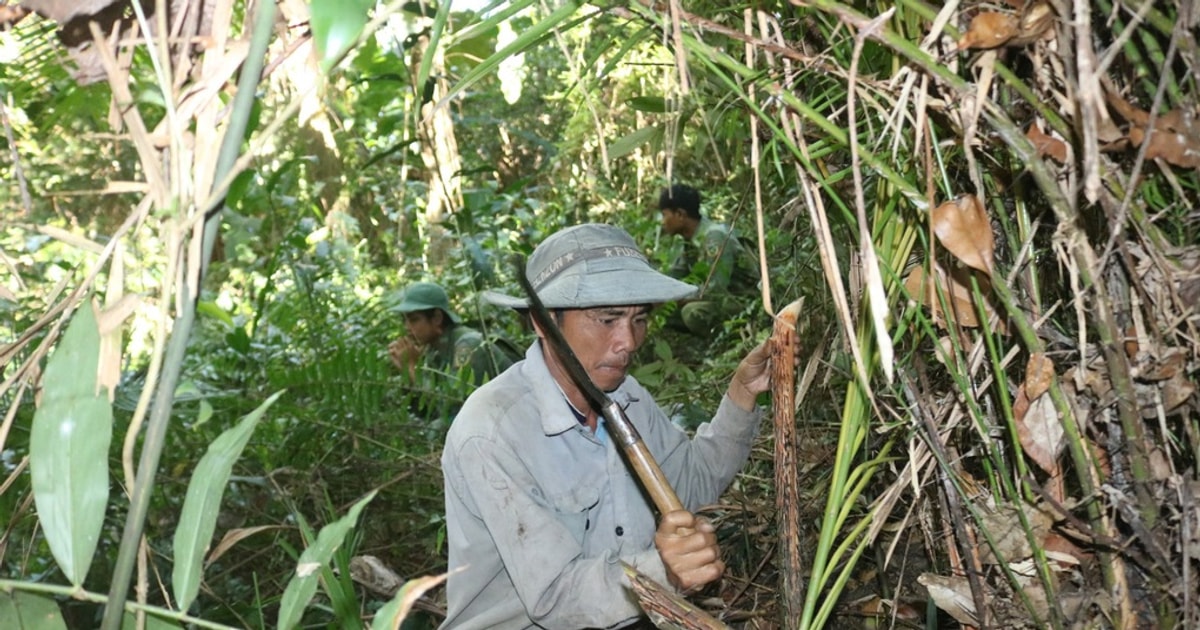 Kiếm tiền triệu mỗi ngày nhờ săn "lộc trời" đầu xuân