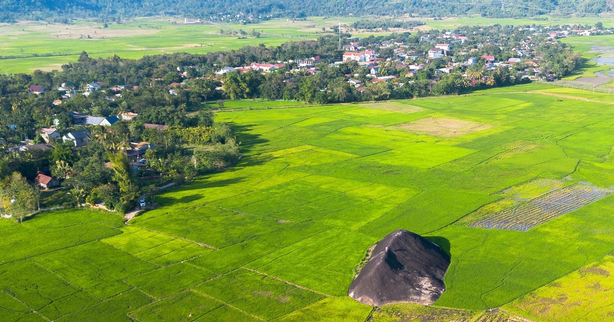 Hồi sinh gốm cổ Yang Tao