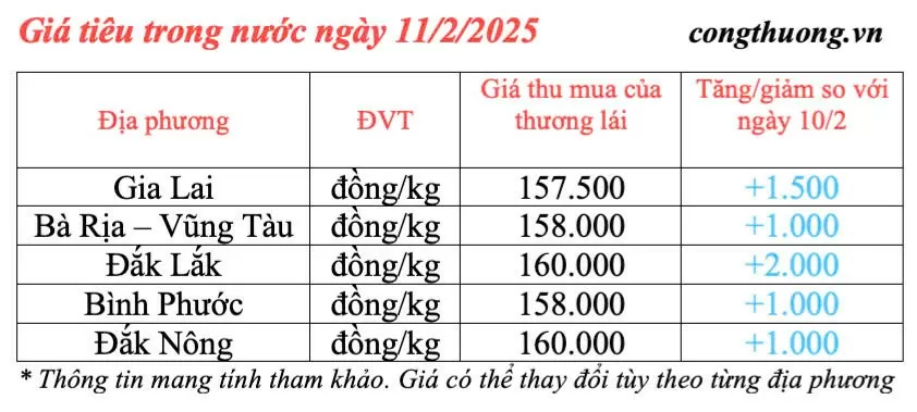 Giá tiêu hôm nay 11/2/2025, trong nước tiếp tục xu hướng tăng