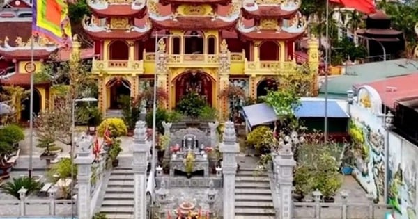 Strictly handle TikToker who "reviewed" incorrectly about the historical relic of Tranh Temple