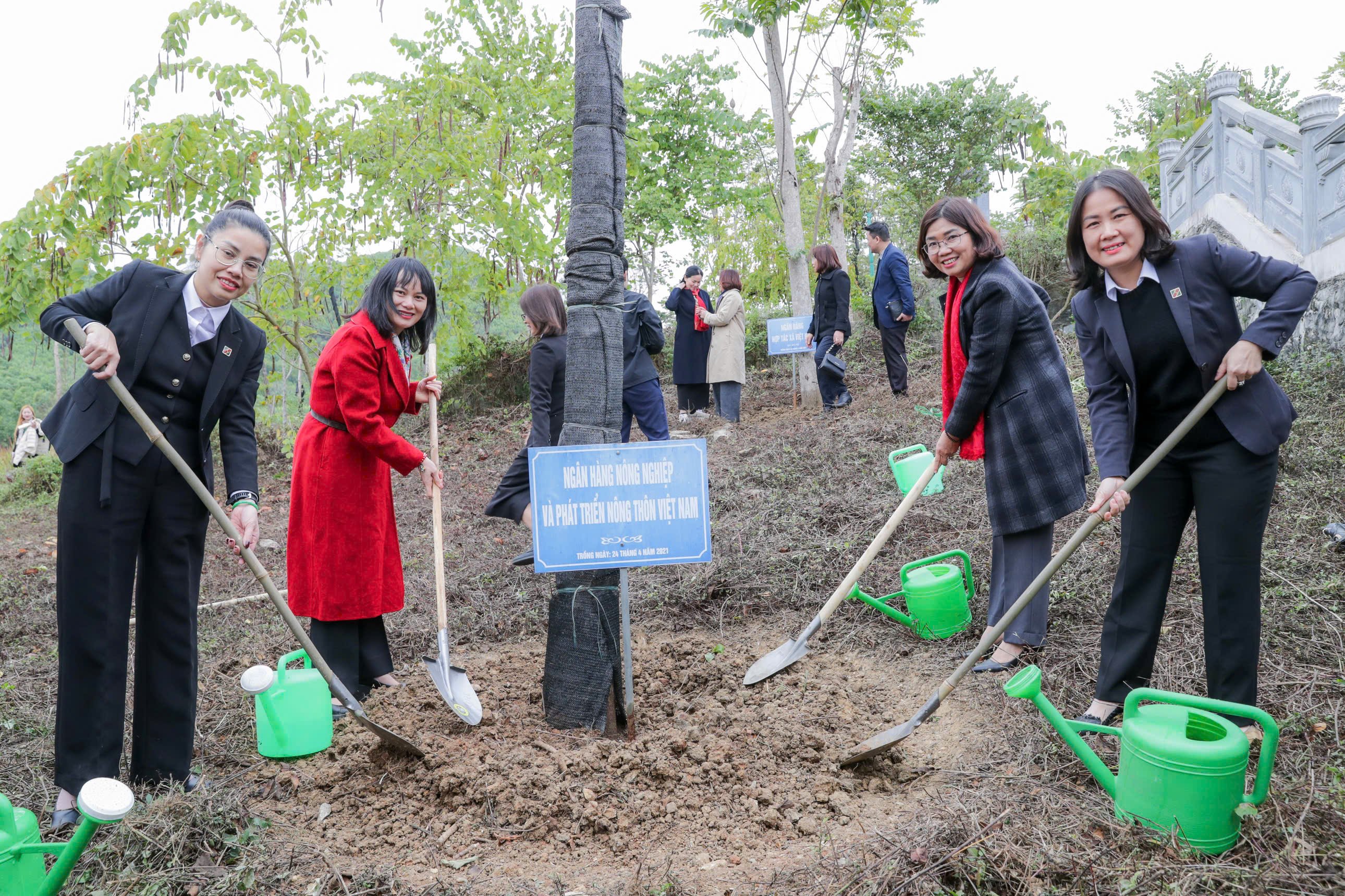 Le secteur bancaire lance le festival de plantation d'arbres du Têt et s'associe pour éliminer 1 000 maisons temporaires et délabrées