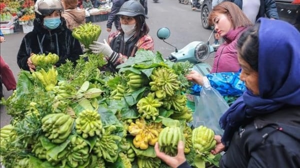 [Photo] Full Moon Festival in January - Beauty of Vietnamese traditional culture