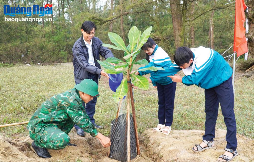 "테트 트리 심기" 운동 확산