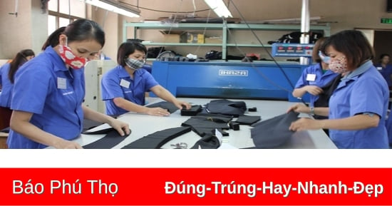 Tăng tốc sản xuất cho đơn hàng xuất khẩu