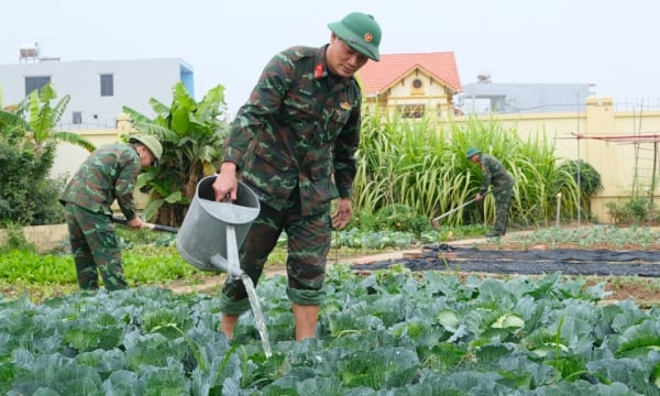 クアンイエン鎮軍事司令部：困難を乗り越えて生産量を増やす