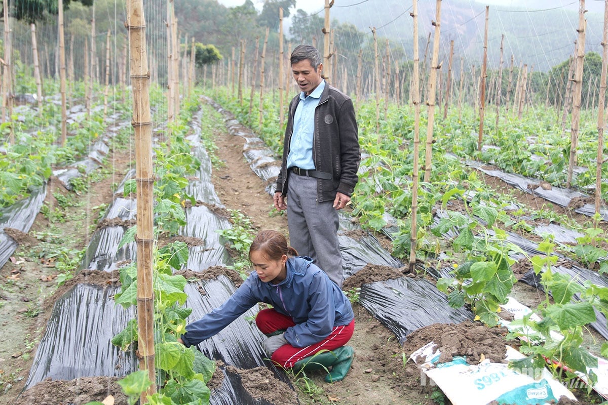 Nâng cao vai trò Bí thư Chi bộ thôn, bản