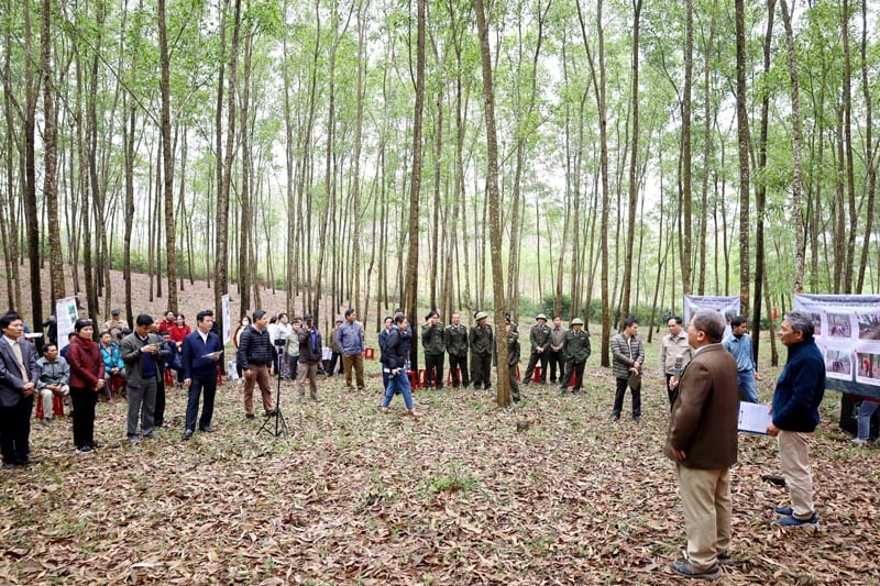 TNV partage ses expériences avec les délégués participant à la conférence de terrain sur la transformation des plantations d'acacias à grande échelle