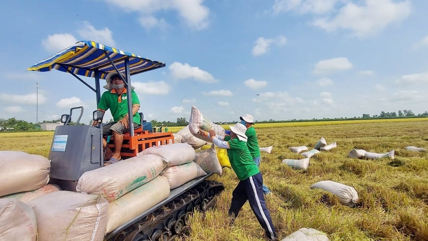 Xuất khẩu rau quả, thủy sản đầu năm 2025 khởi sắc, có mặt hàng thu về gần 800 triệu USD - Ảnh 2.