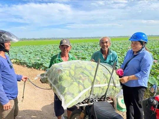 Aplicación de la tecnología para orientar la producción agrícola hacia el seguimiento de la naturaleza