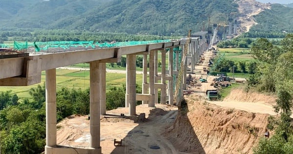 ¿Qué categoría determina la "carrera" temprana hasta la meta de la autopista Quy Nhon?