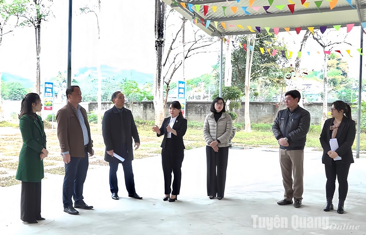 Son Duong se prepara activamente para los congresos a nivel de distrito