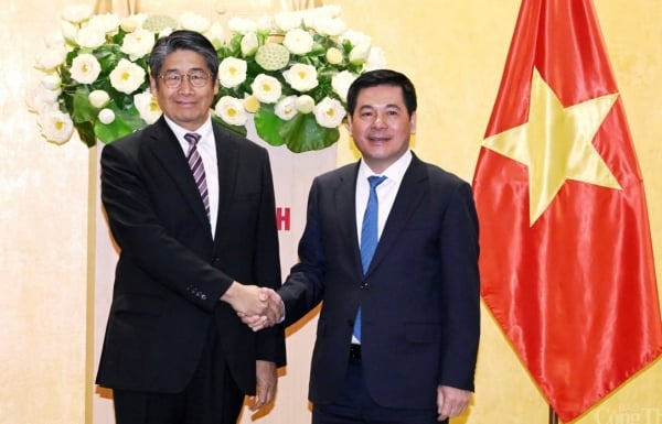 El Ministro Nguyen Hong Dien recibió al Embajador de Japón en Vietnam