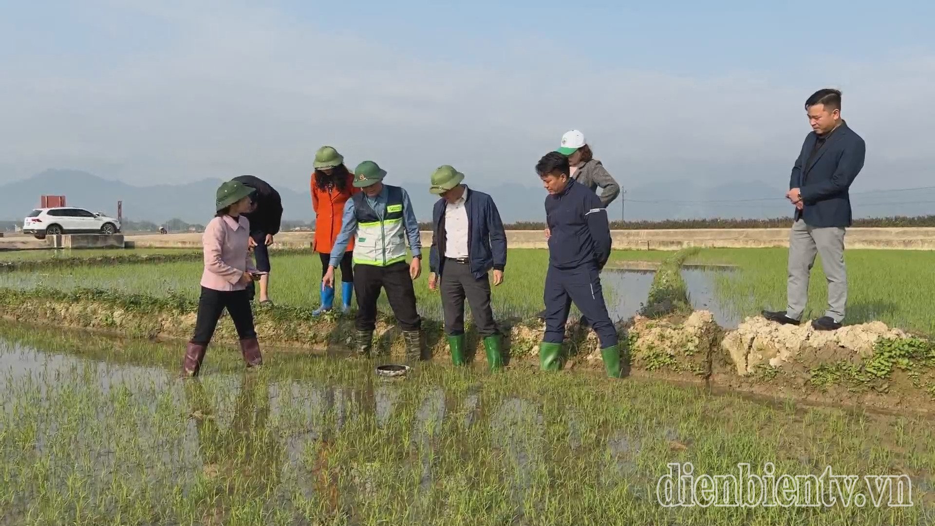 Kiểm tra mô hình canh tác lúa thông minh, giảm phát thải nhà kính