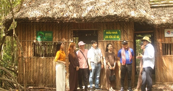 Walking around Dat Mui Ca Mau tourist area in the first days of the year