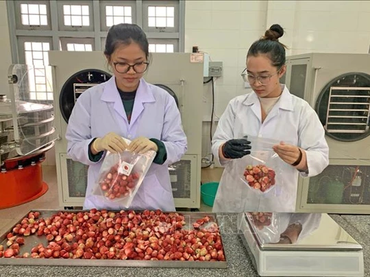 « Transformation », valorisation des produits agricoles de Da Lat