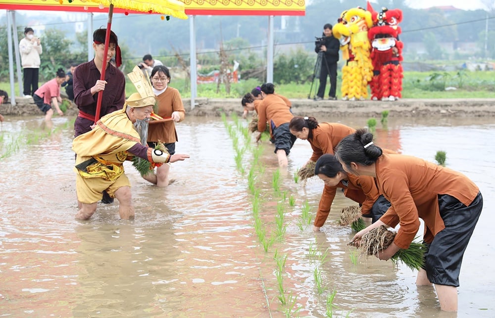 벼농사를 가르치는 훙왕의 축제