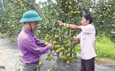 Hỗ trợ hộ nghèo thoát nghèo bền vững