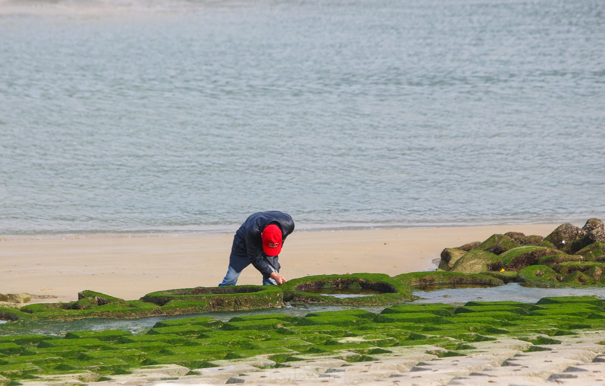 Fascinated by the lush green moss field that first appeared in the 'heavenly palace' of Ha Tinh photo 9