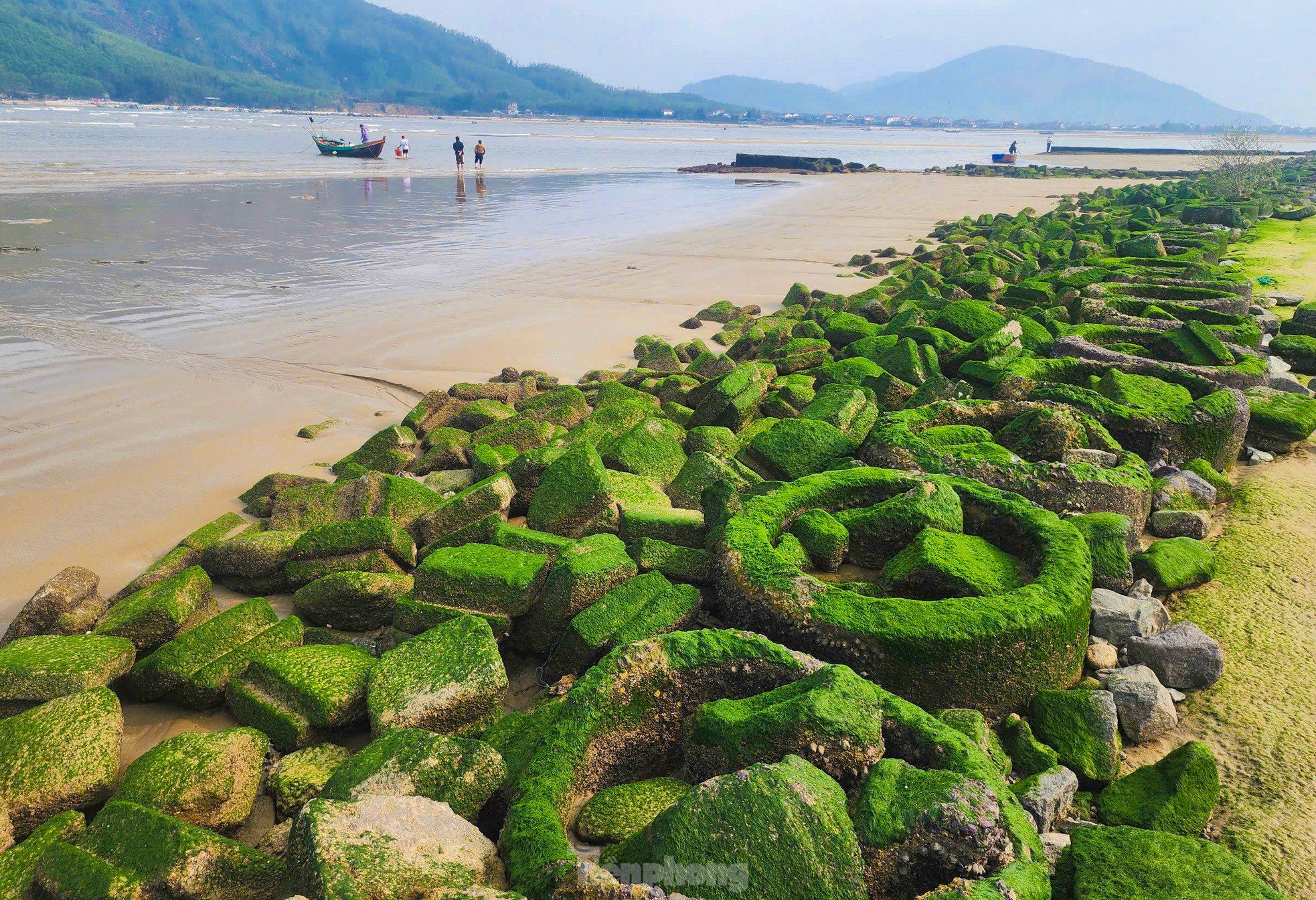 Fascinated by the lush green moss field that first appeared in the 'heavenly palace' of Ha Tinh photo 2