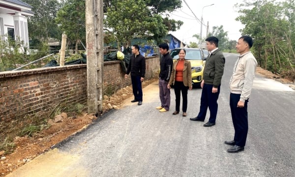 티엔옌 지구: 기초 당 세포의 역할 촉진