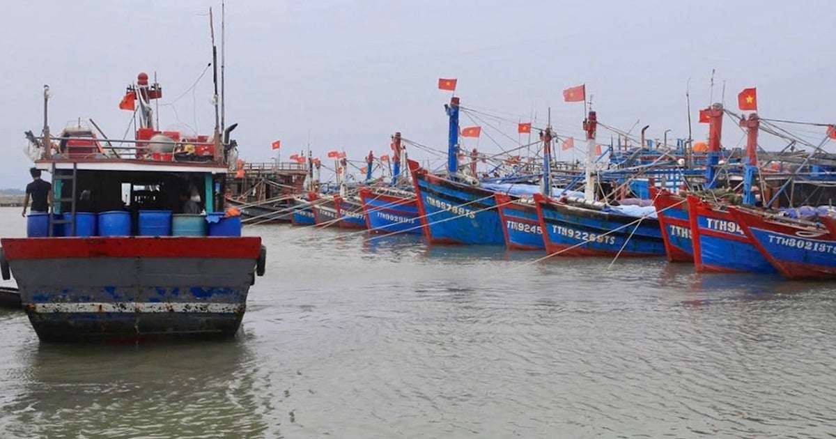 Das Ostmeer erwartet ein tropisches Tiefdruckgebiet