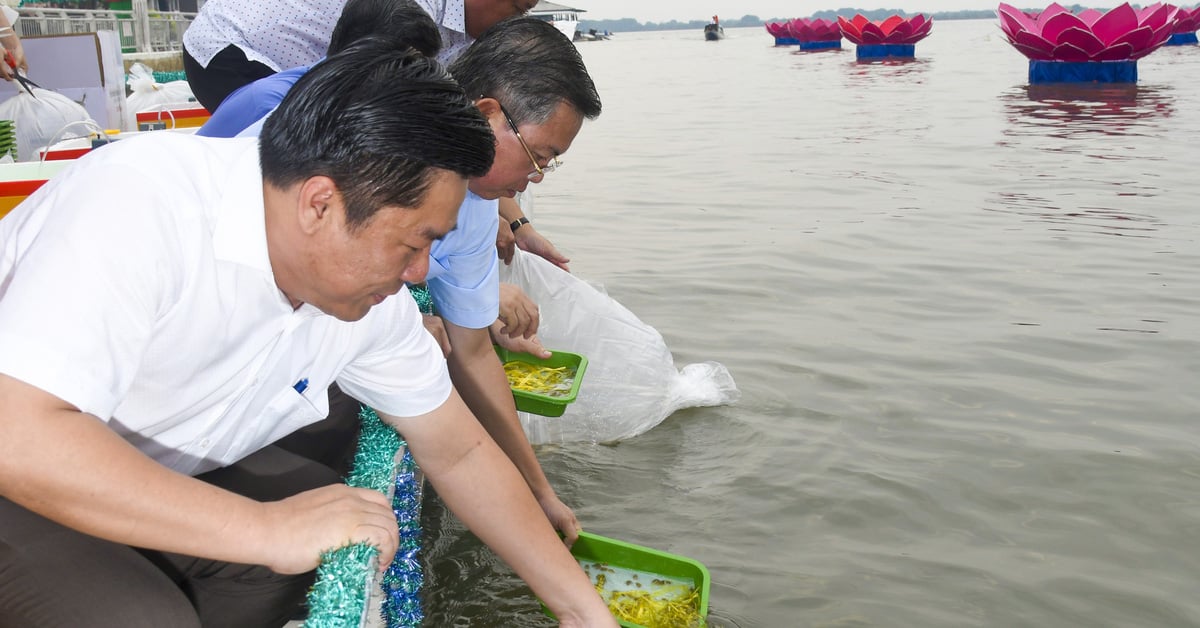 Thả hơn 2 triệu con tôm, cua giống xuống đầm Đông Hồ